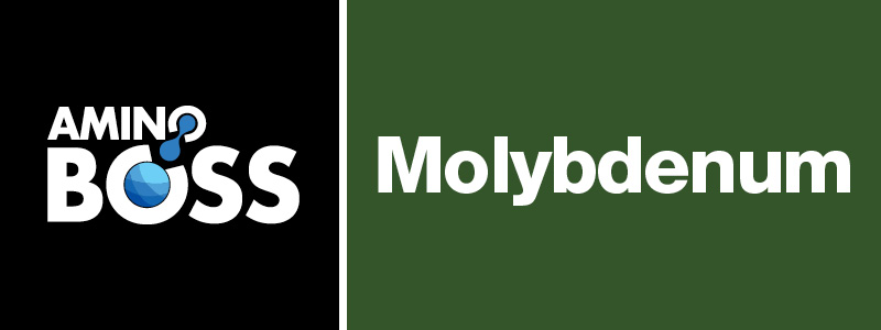 AMINO BOSS MOLY - Sipcam Australia